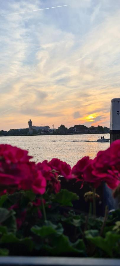 Zen B&B Dordrecht Zewnętrze zdjęcie